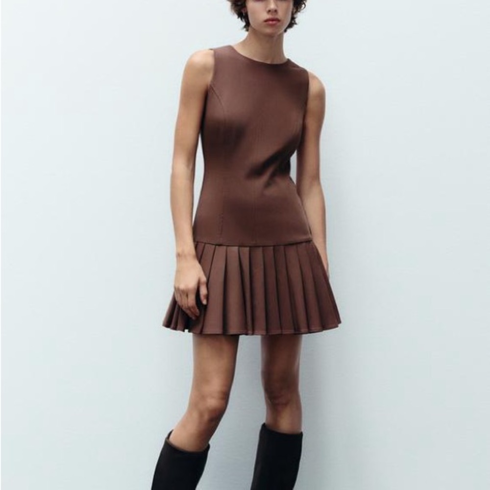 Zara Brown Pleated Skirt Dress